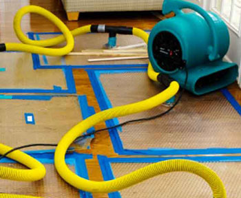 Company Logo For PRO Water Damage Gilbert Chandler'