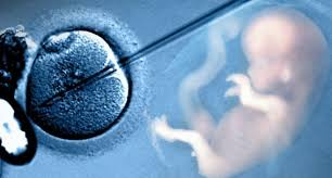 In-Vitro Fertilization (IVF) Market