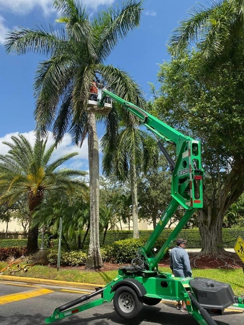 Professional Tree & Landscape Construction - East Freetown, MA