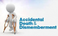 Accidental Death and Dismemberment Insurance Market Next Big