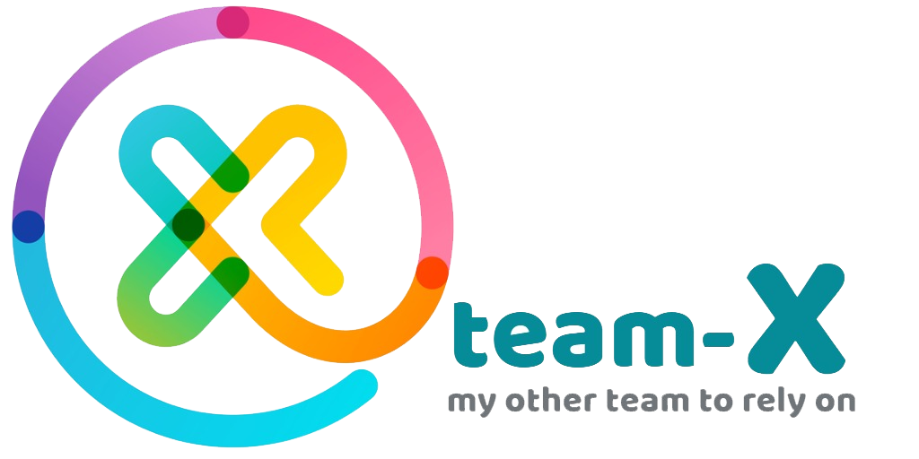 Company Logo For Team-X Web Development and SEO'