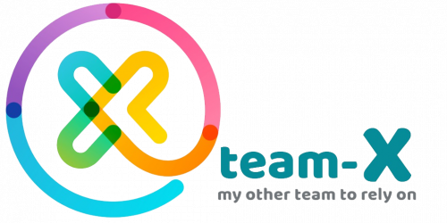Company Logo For Team-X Web Development and SEO'