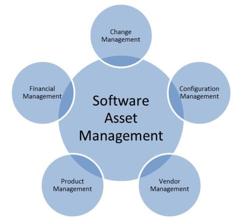 Software Asset Management'