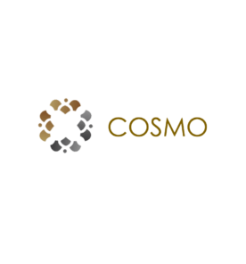 Company Logo For Cosmo World Services'