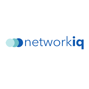 Company Logo For NetworkIQ'