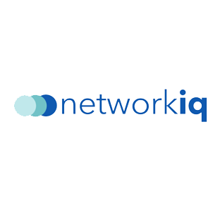 NetworkIQ Logo