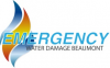 Company Logo For Emergency Water Damage Beaumont'