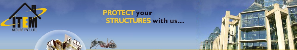 ITEM Secure Pvt. Ltd Logo