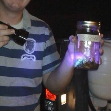 Company Logo For A&amp;E Pest And Weed Control'