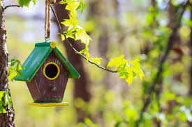 Birdhouses Market'