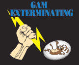 Company Logo For GAM Services USA Inc.'