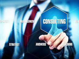 Business Consulting Services'