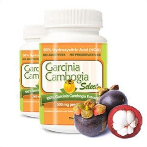 Company Logo For Garcinia Cambogia No. 1'