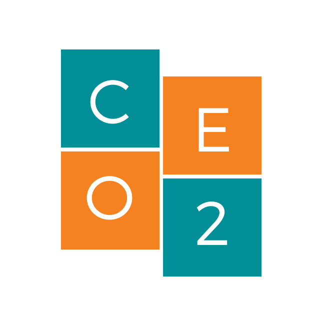 Company Logo For CEO2'