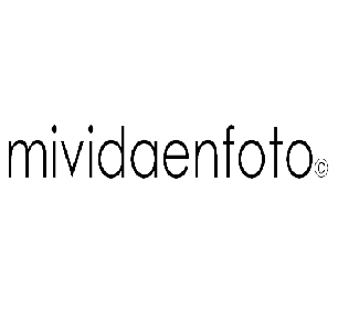 Company Logo For mividaenfoto'