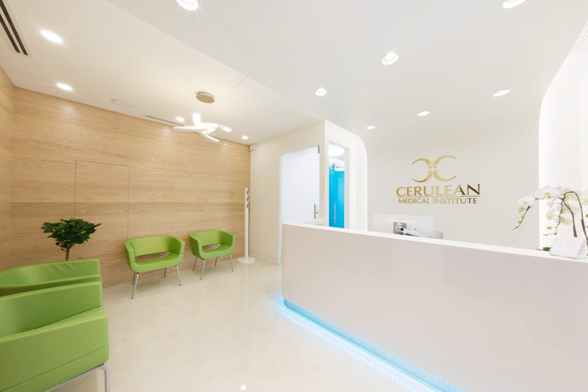 Company Logo For Cerulean Medical Institute'