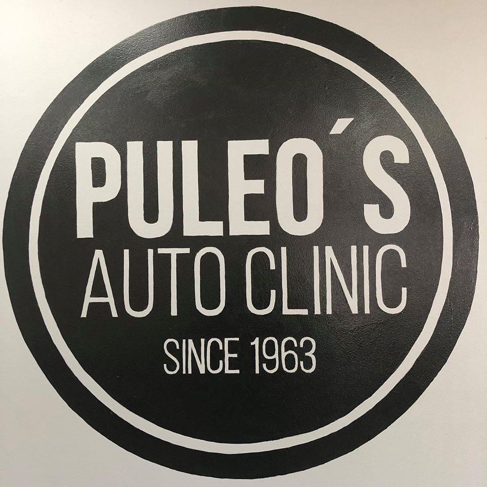 Company Logo For Puleo's Auto Clinic'