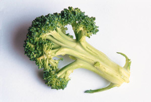 how to start a vegetable garden