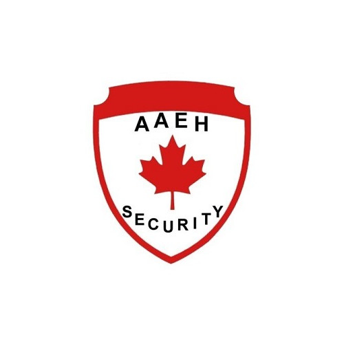 Company Logo For AAEH Security'