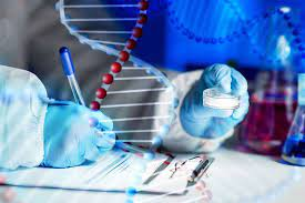 DNA Sequencing In Drug Discovery Market'