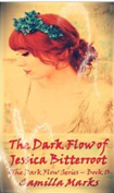 The Dark Flow of Jessica Bitterroot