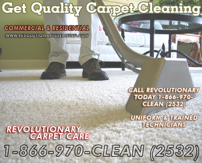 Logo for Revolutionary Cleaning'