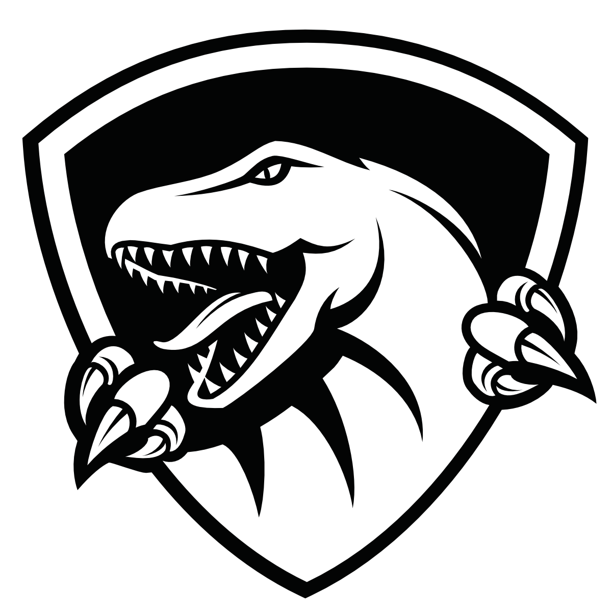 Company Logo For Raptor IT Consultants'