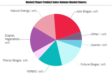 Biogas and Biomethane Market