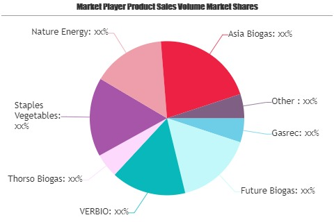 Biogas and Biomethane Market'