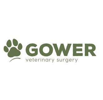 Company Logo For Gower Veterinary Surgery'