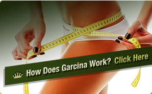 Garcinia Cambogia Select'