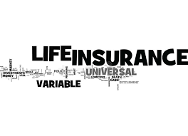 Variable Universal Life Insurance Market Next Big Thing | Ma'