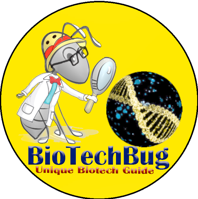 Company Logo For BoTechBug'