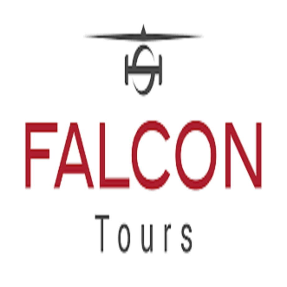 Company Logo For Falcon Tours'