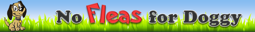 best flea treatment for dogs'