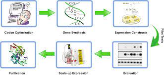 Custom Protein Services'