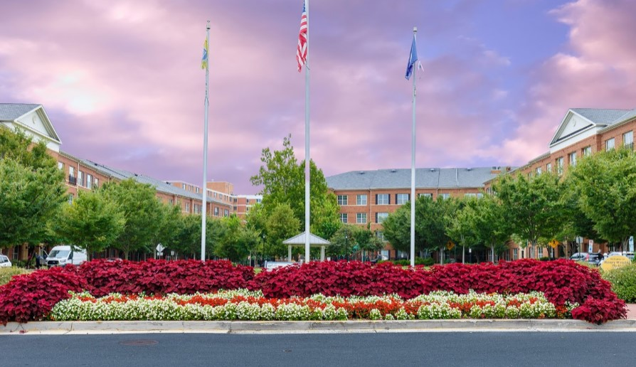 Commercial Landscaper'