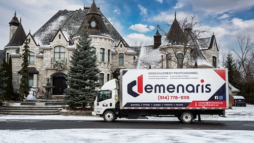 Company Logo For Demenaris Movers'