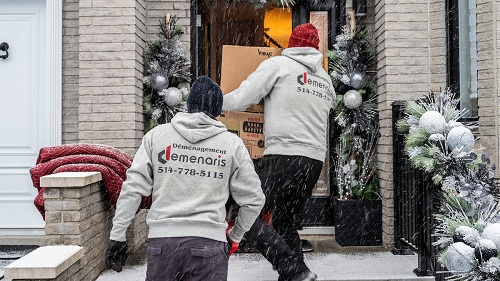 Company Logo For Demenaris Movers'