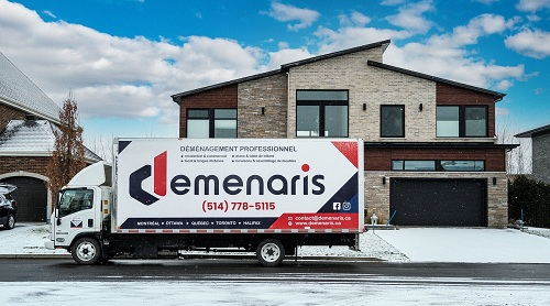 Company Logo For Demenaris Movers'