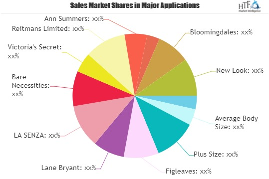 Lady's Sexy Lingeries Market