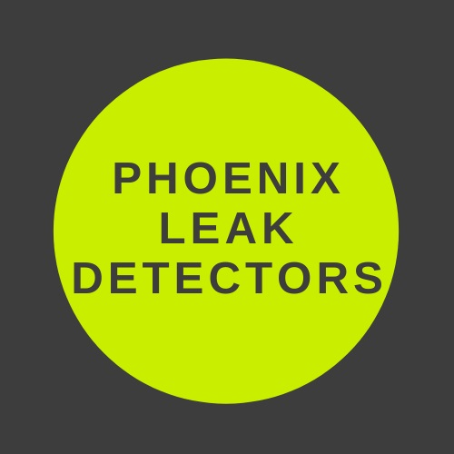 Company Logo For Phoenix Leak Detectors'