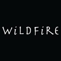 High Heels | Wildfire Shoes Logo