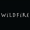 Company Logo For High Heels | Wildfire Shoes'