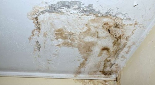 Company Logo For ALL US Mold Removal &amp; Remediation M'