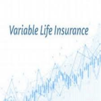 Variable life Insurance Market Next Big Thing | Major Giants