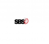 Company Logo For SBS Construction Group LLC'