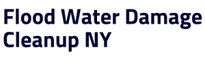 Company Logo For Water Cleanup Long Island'