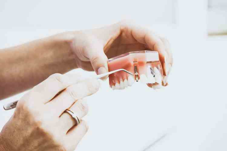 Local Dentist'