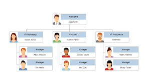 Org Chart Software'